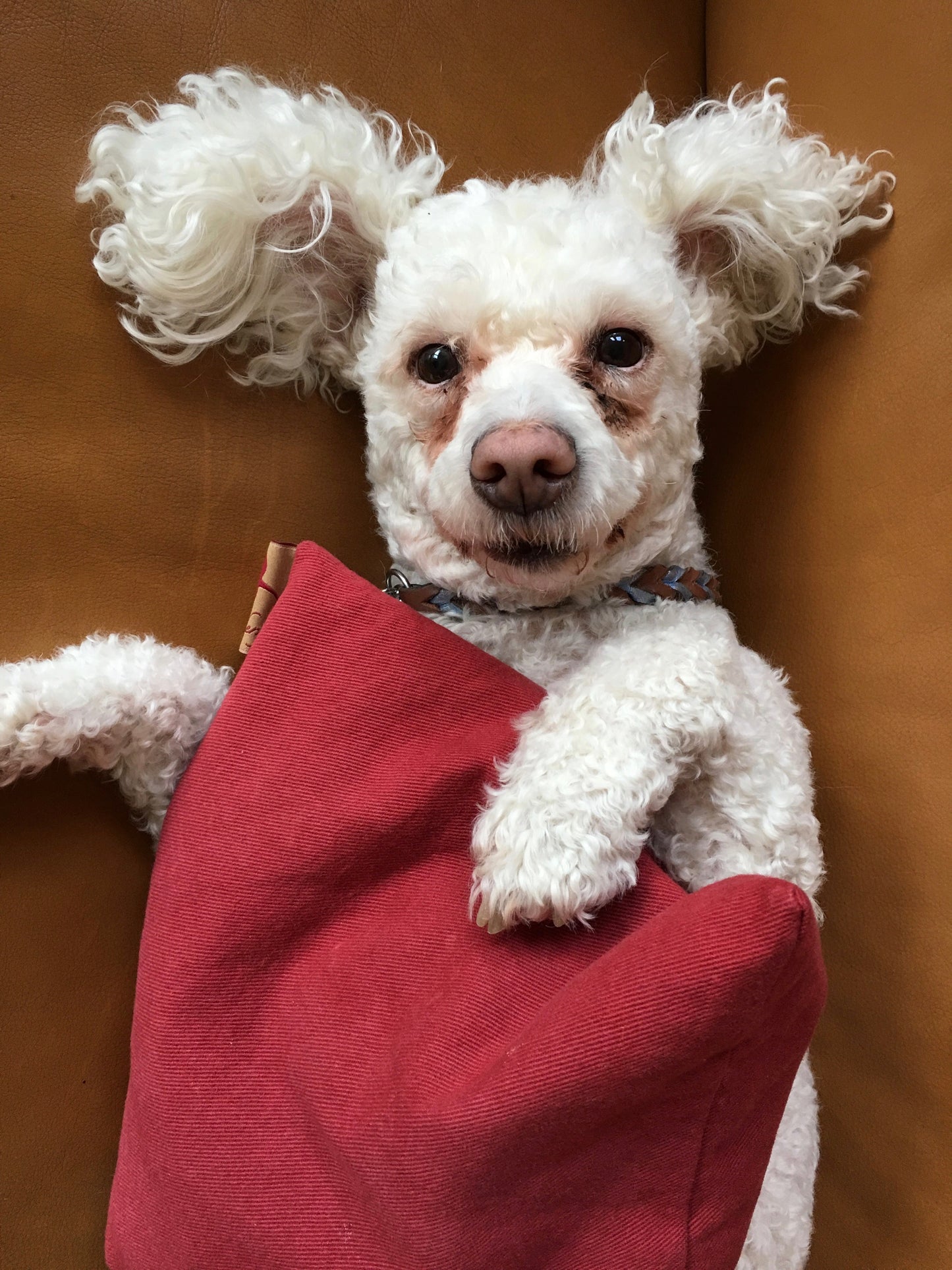 Hot Cherry Square Pillow in Red Denim - Trending Wellness Store
