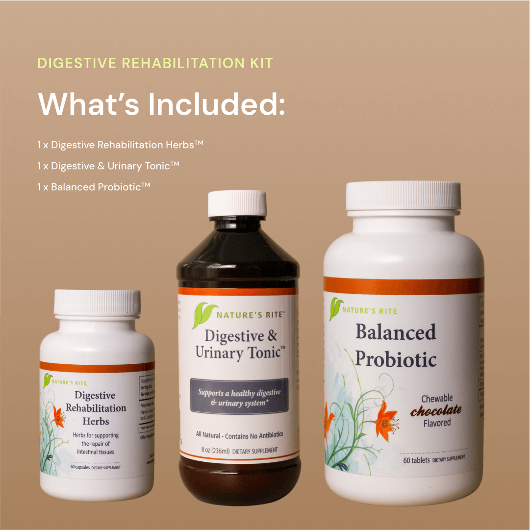 Digestive Rehabilitation Kit - Trending Wellness Store