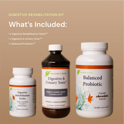 Digestive Rehabilitation Kit - Trending Wellness Store