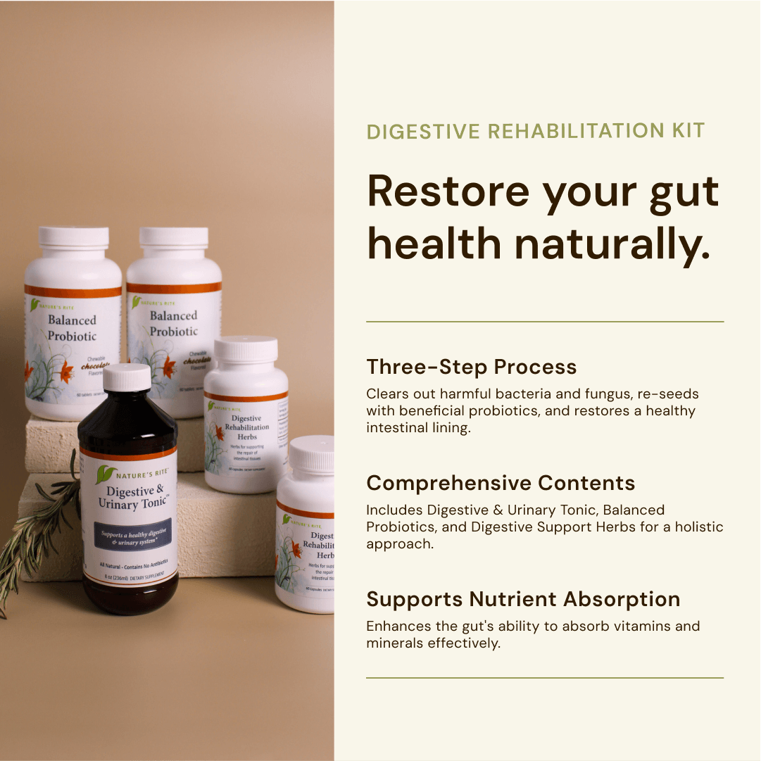 Digestive Rehabilitation Kit - Trending Wellness Store