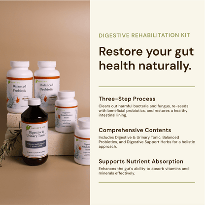 Digestive Rehabilitation Kit - Trending Wellness Store