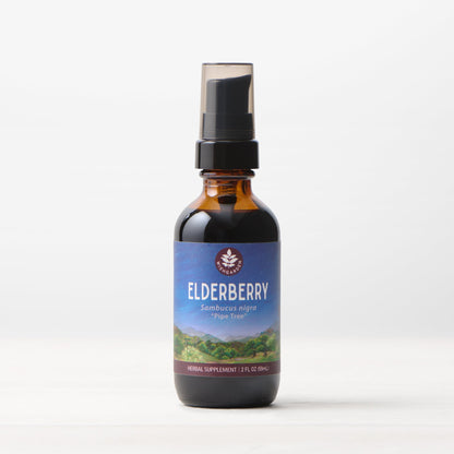 Elderberry - Trending Wellness Store