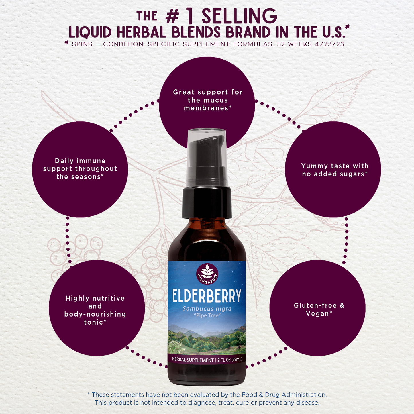 Elderberry - Trending Wellness Store