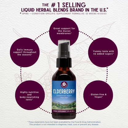 Elderberry - Trending Wellness Store