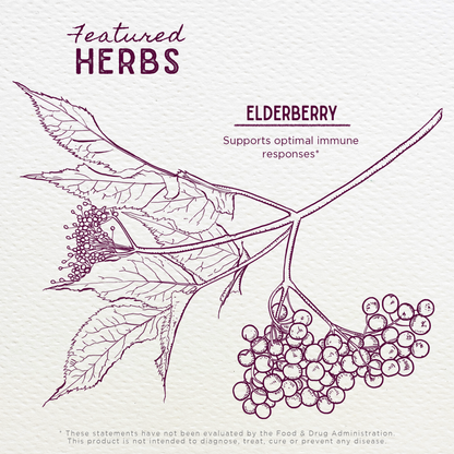 Elderberry - Trending Wellness Store