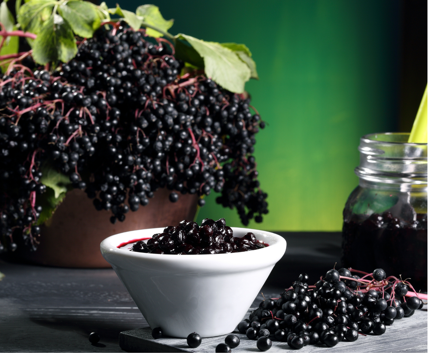 Elderberry - Natures' Gift - Trending Wellness Store