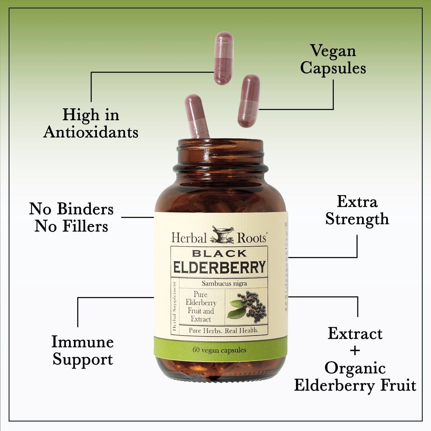 Black Elderberry - Trending Wellness Store