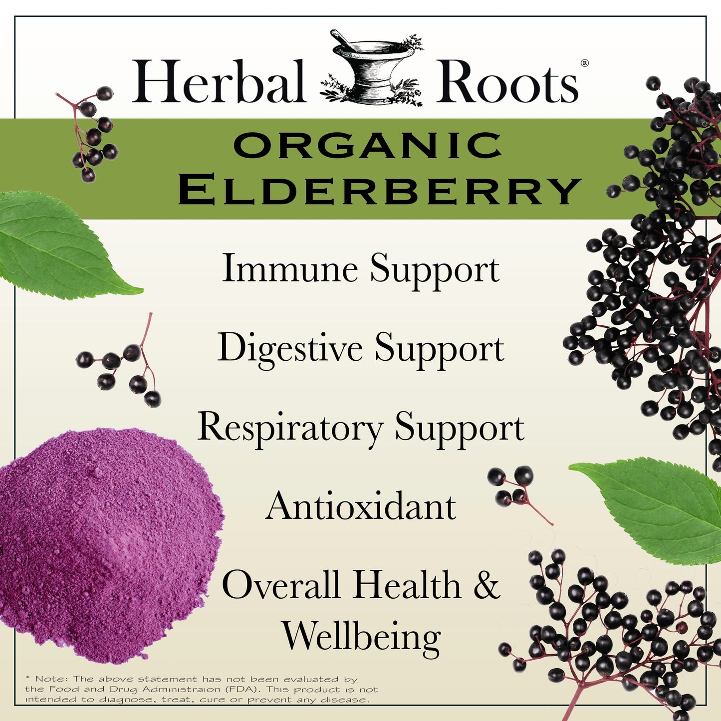 Black Elderberry - Trending Wellness Store