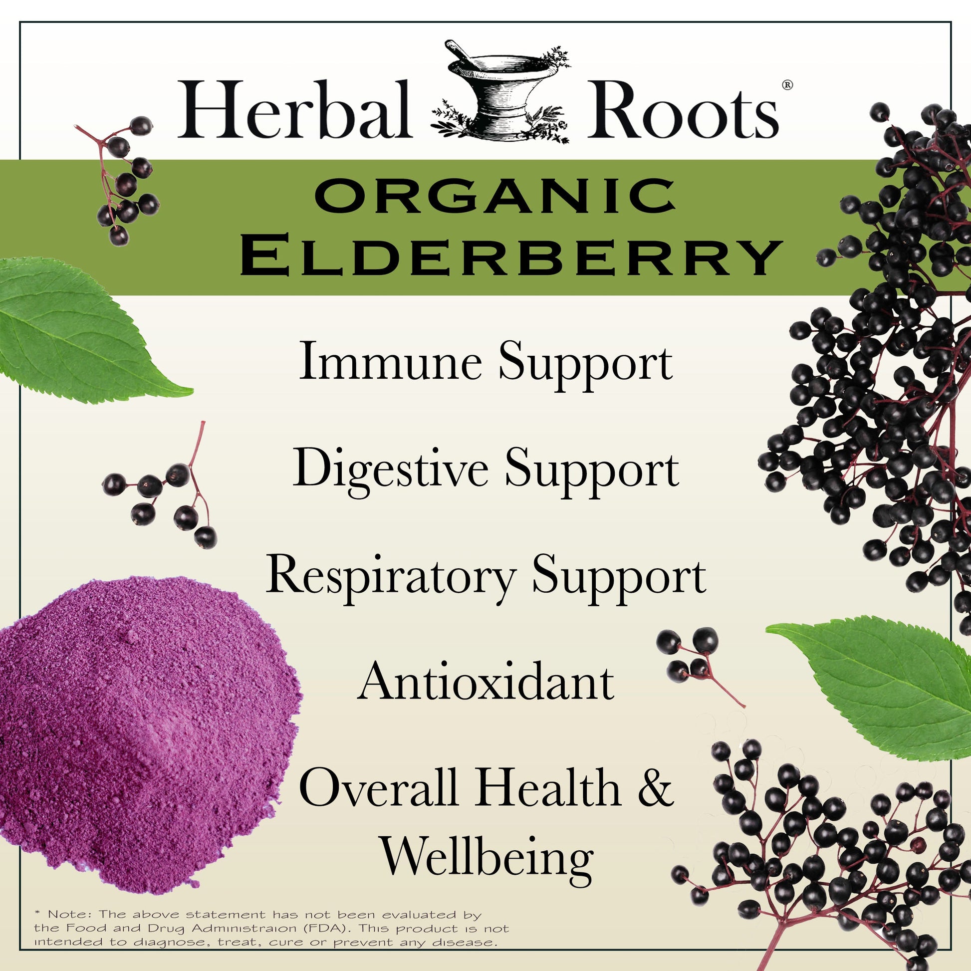 Black Elderberry - Trending Wellness Store
