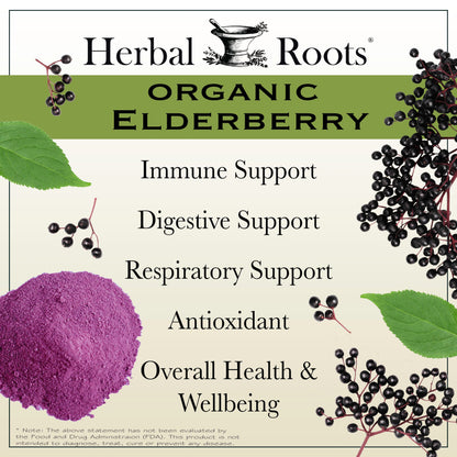 Black Elderberry - Trending Wellness Store