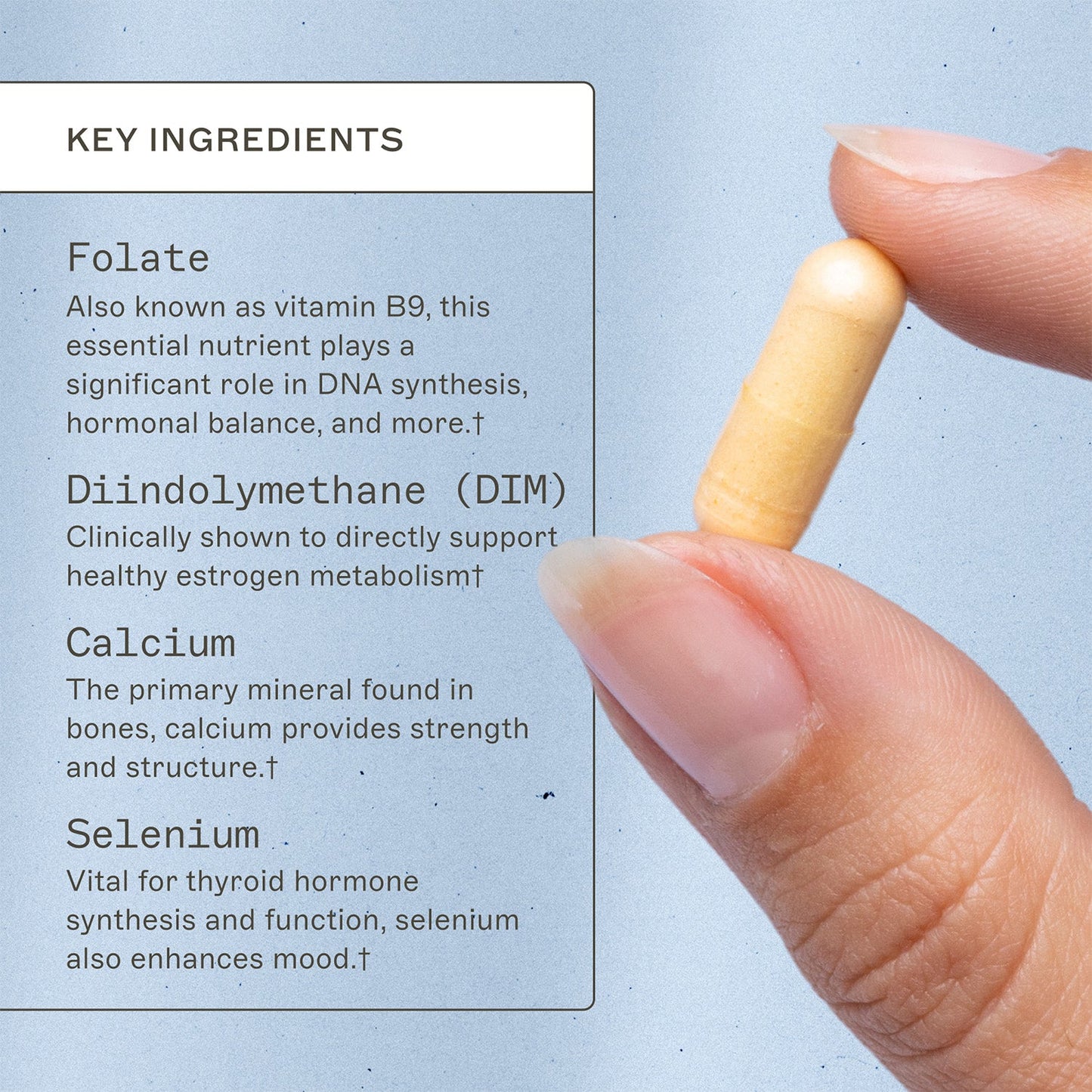 EstroProtect - Trending Wellness Store