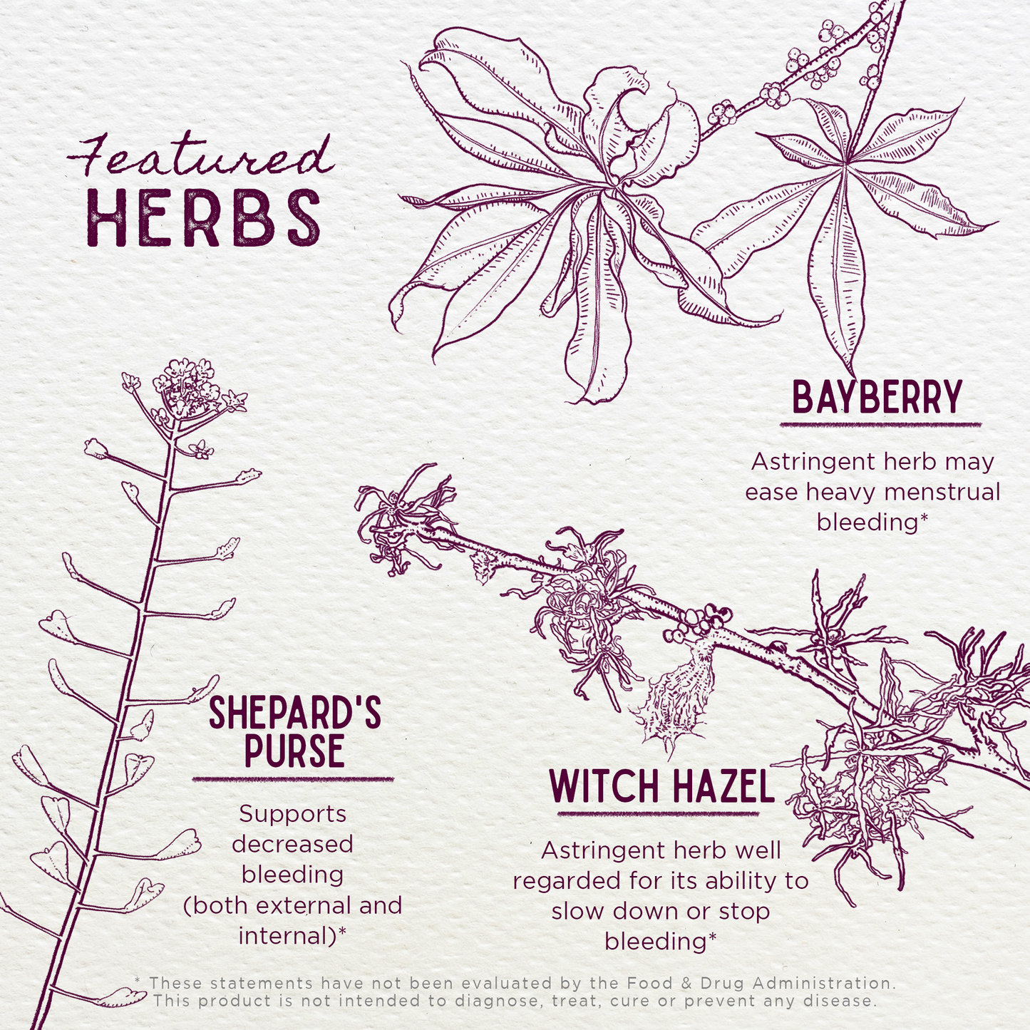 Flow Stopper Lingering Cycle - Trending Wellness Store