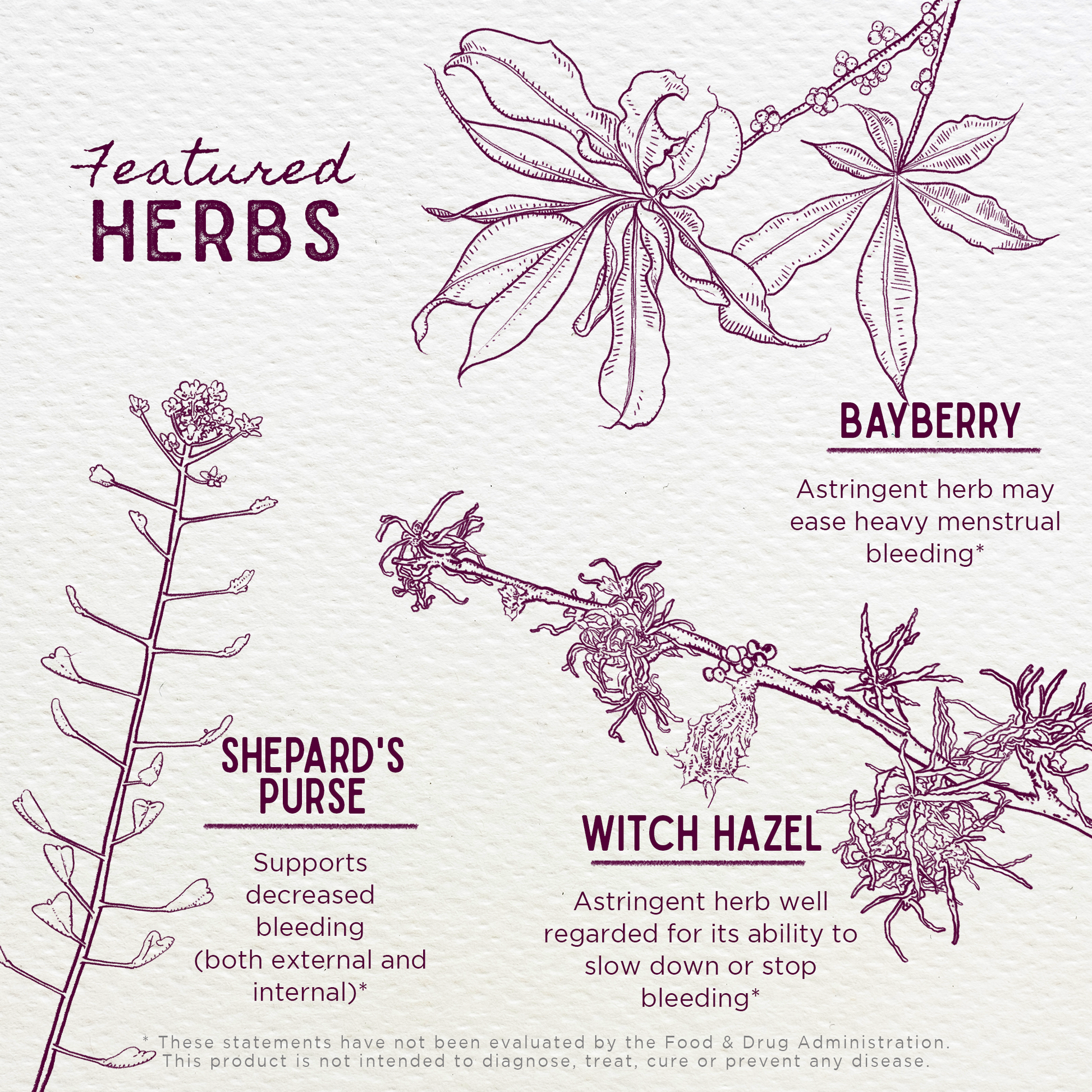 Flow Stopper Lingering Cycle - Trending Wellness Store