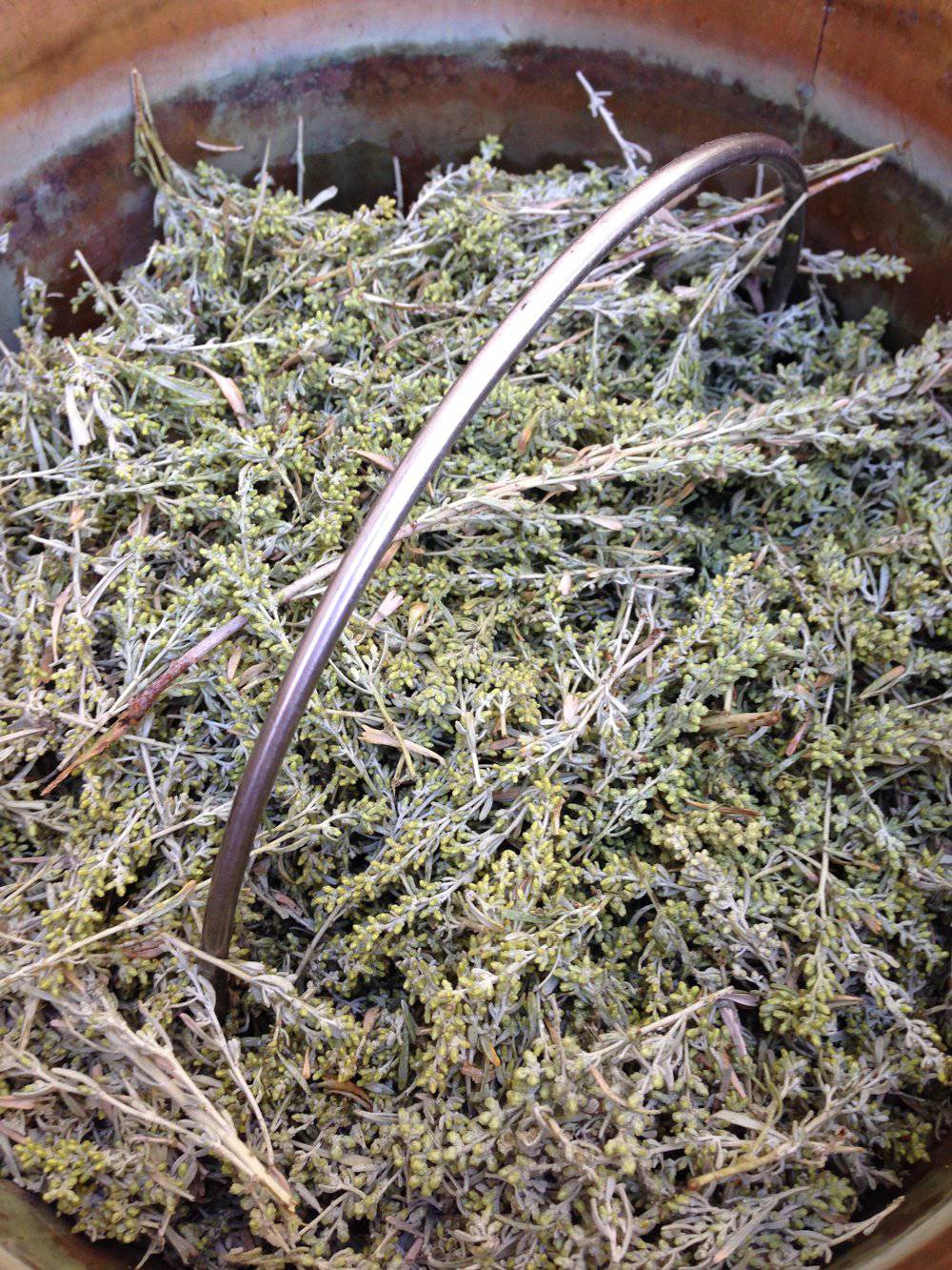 Face Cream | Anthea Skincare | Sage Simple Cream - Trending Wellness Store