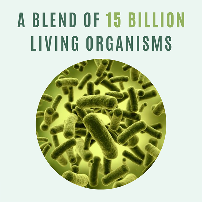 Flora Plus Probiotics - 60 Capsules - Trending Wellness Store