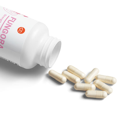 Fungora Mushroom Blend Supplement (60 Capsules) - Trending Wellness Store
