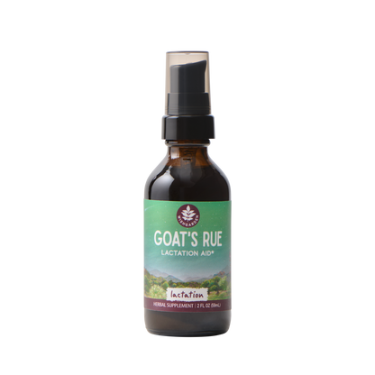 Goat's Rue Lactation Aid - Trending Wellness Store