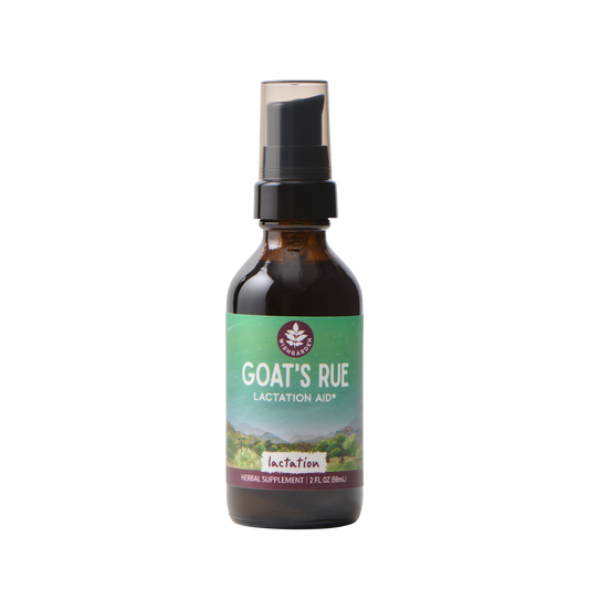 Goat's Rue Lactation Aid - Trending Wellness Store