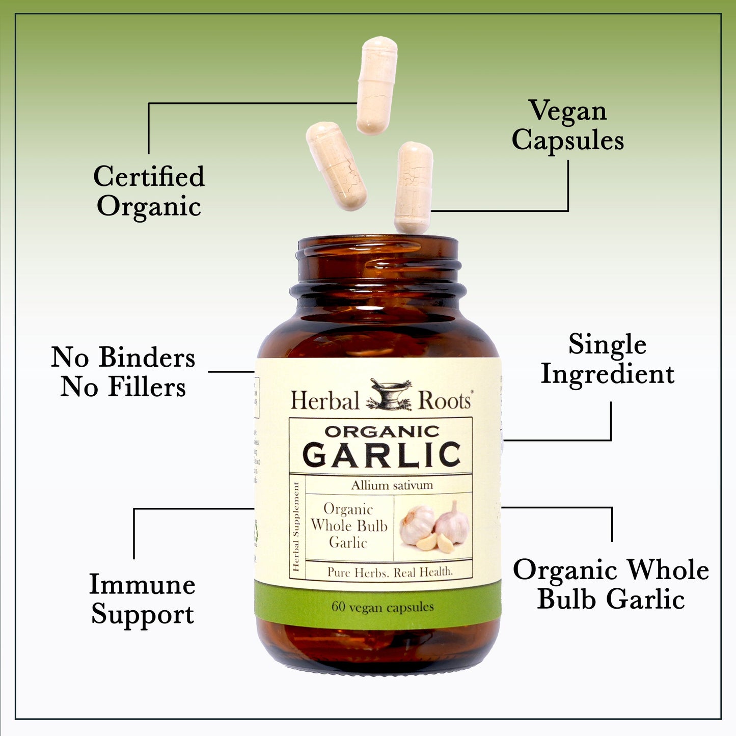 Organic Whole Bulb Garlic - Trending Wellness Store