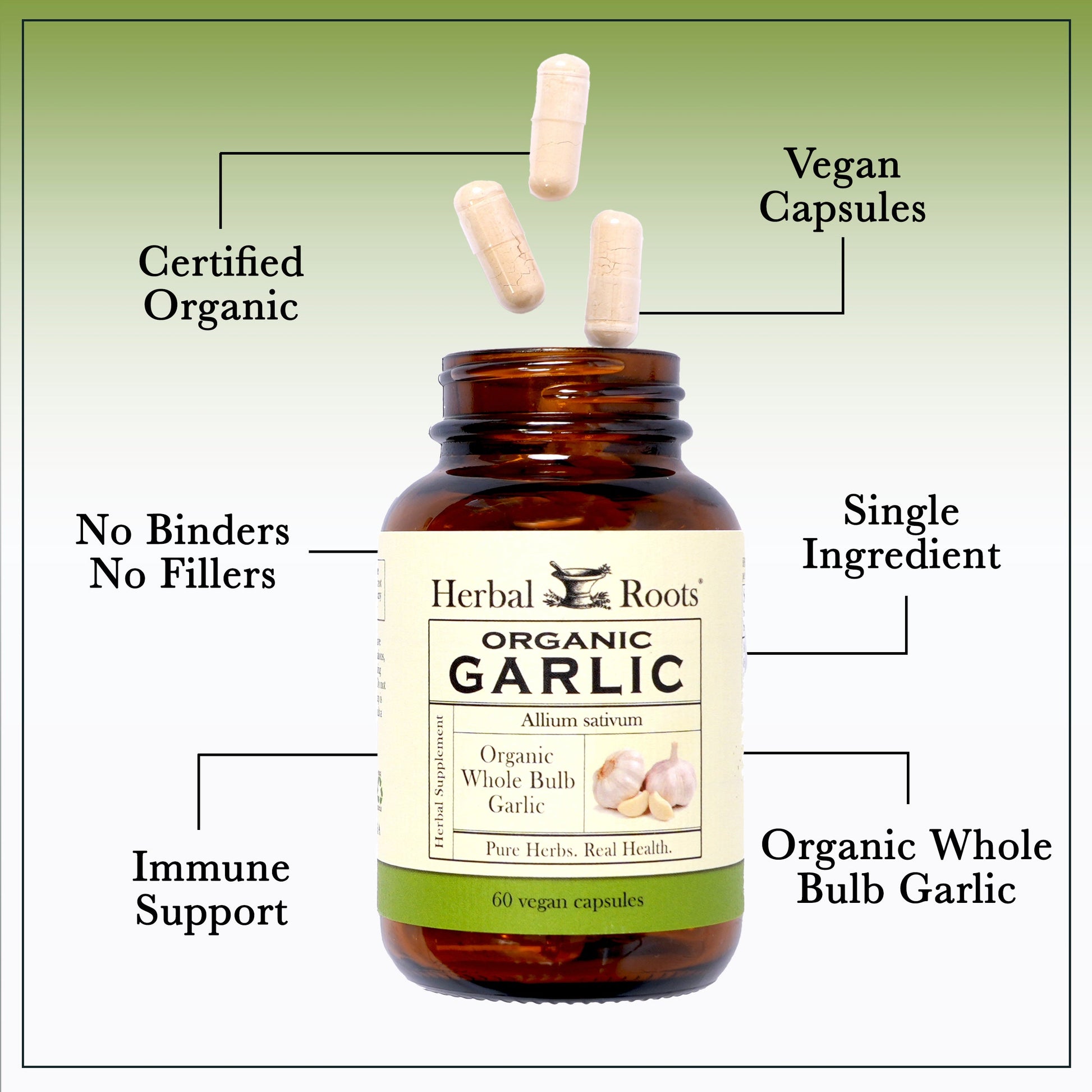 Organic Whole Bulb Garlic - Trending Wellness Store