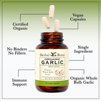Organic Whole Bulb Garlic - Trending Wellness Store