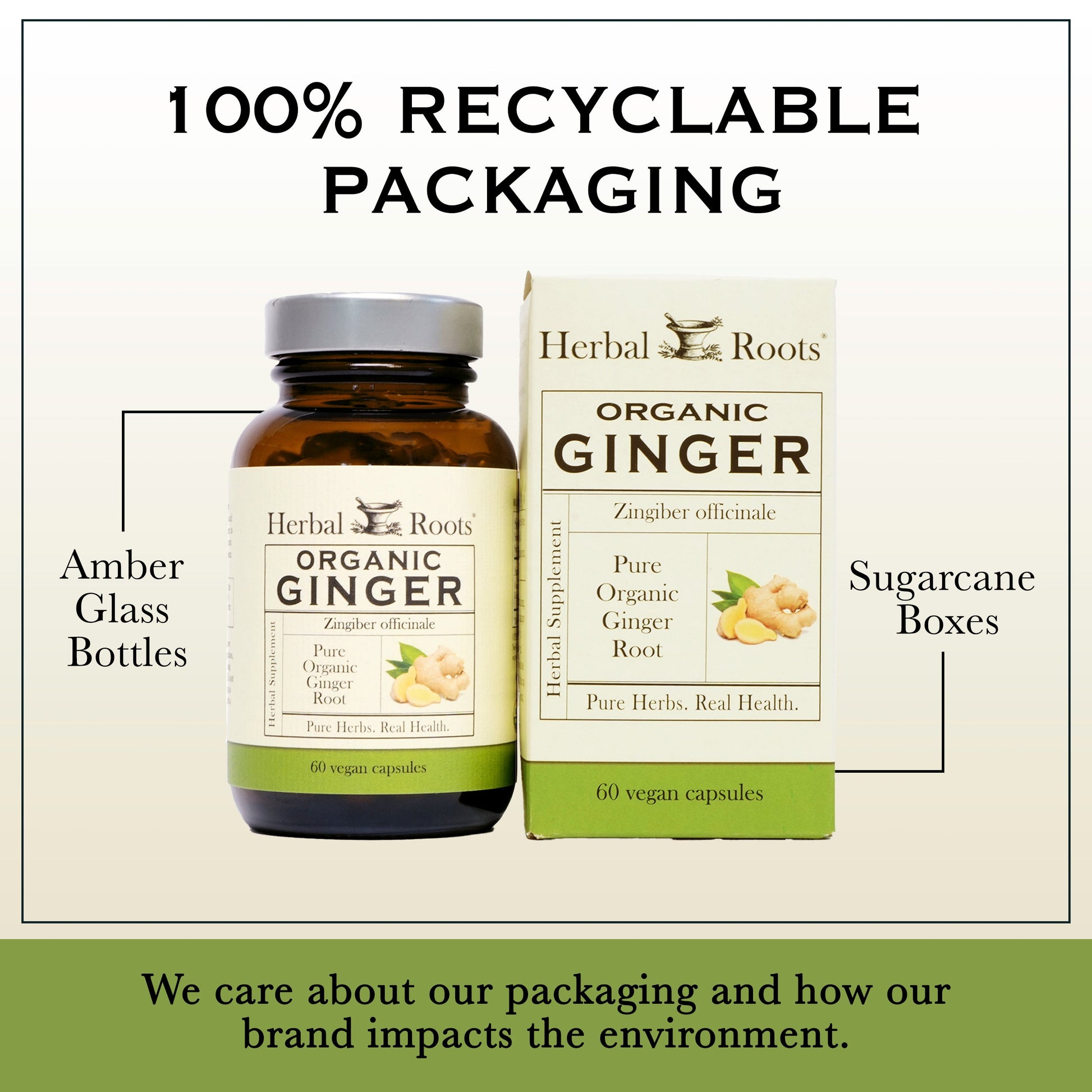 Organic Ginger - Trending Wellness Store