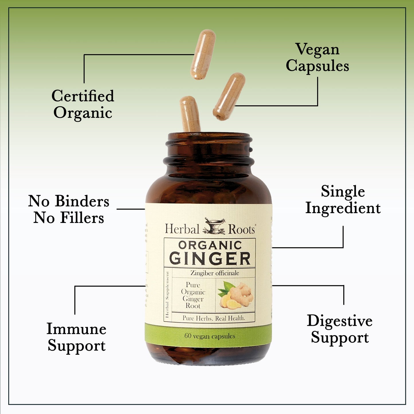 Organic Ginger - Trending Wellness Store