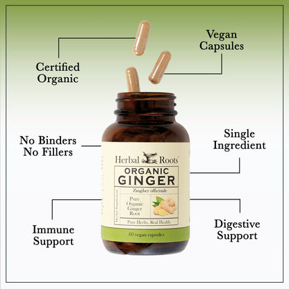 Organic Ginger - Trending Wellness Store
