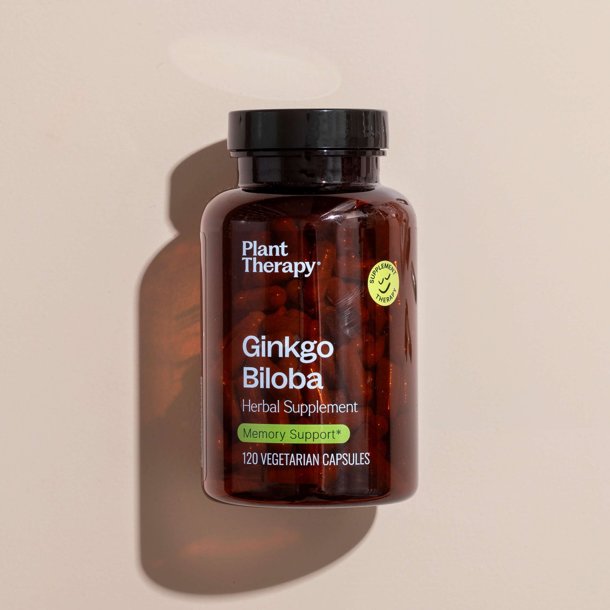 Ginkgo Biloba Herbal Supplement - 120 Capsules - Trending Wellness Store