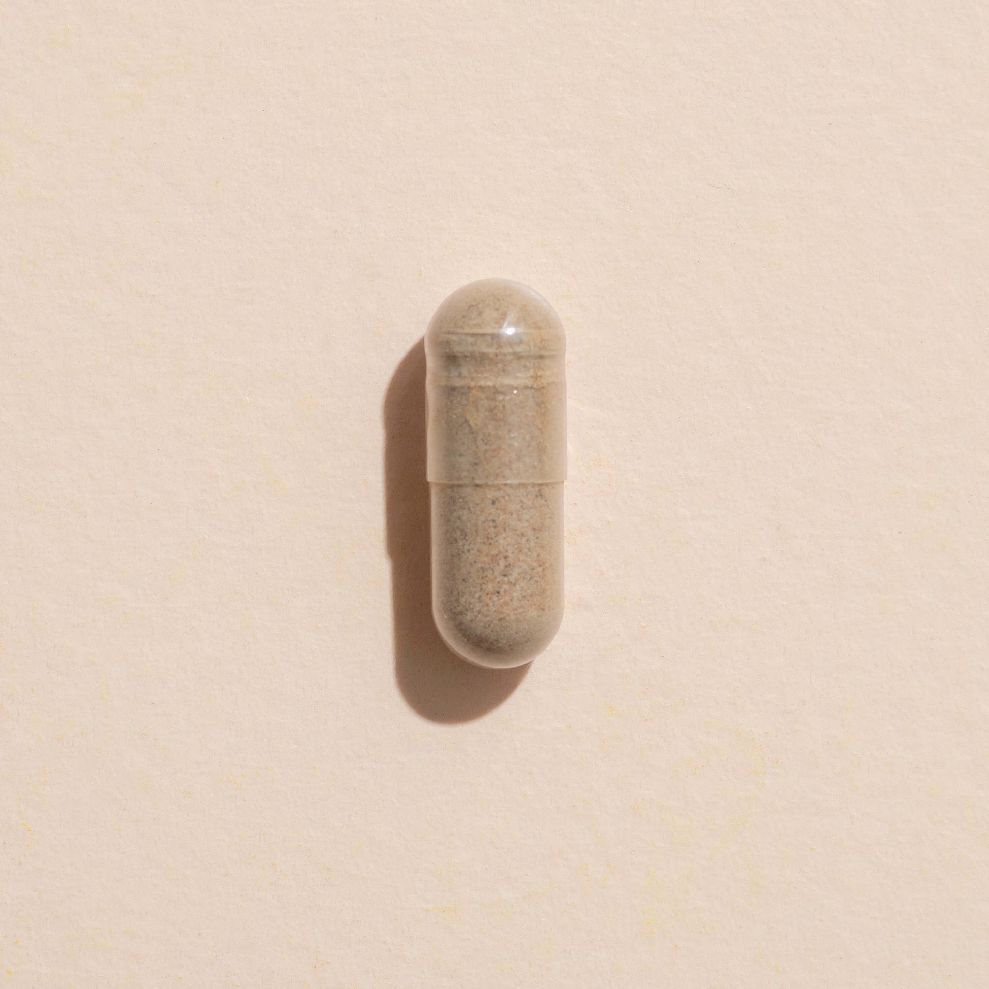 Ginkgo Biloba Herbal Supplement - 120 Capsules - Trending Wellness Store