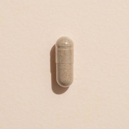 Ginkgo Biloba Herbal Supplement - 120 Capsules - Trending Wellness Store