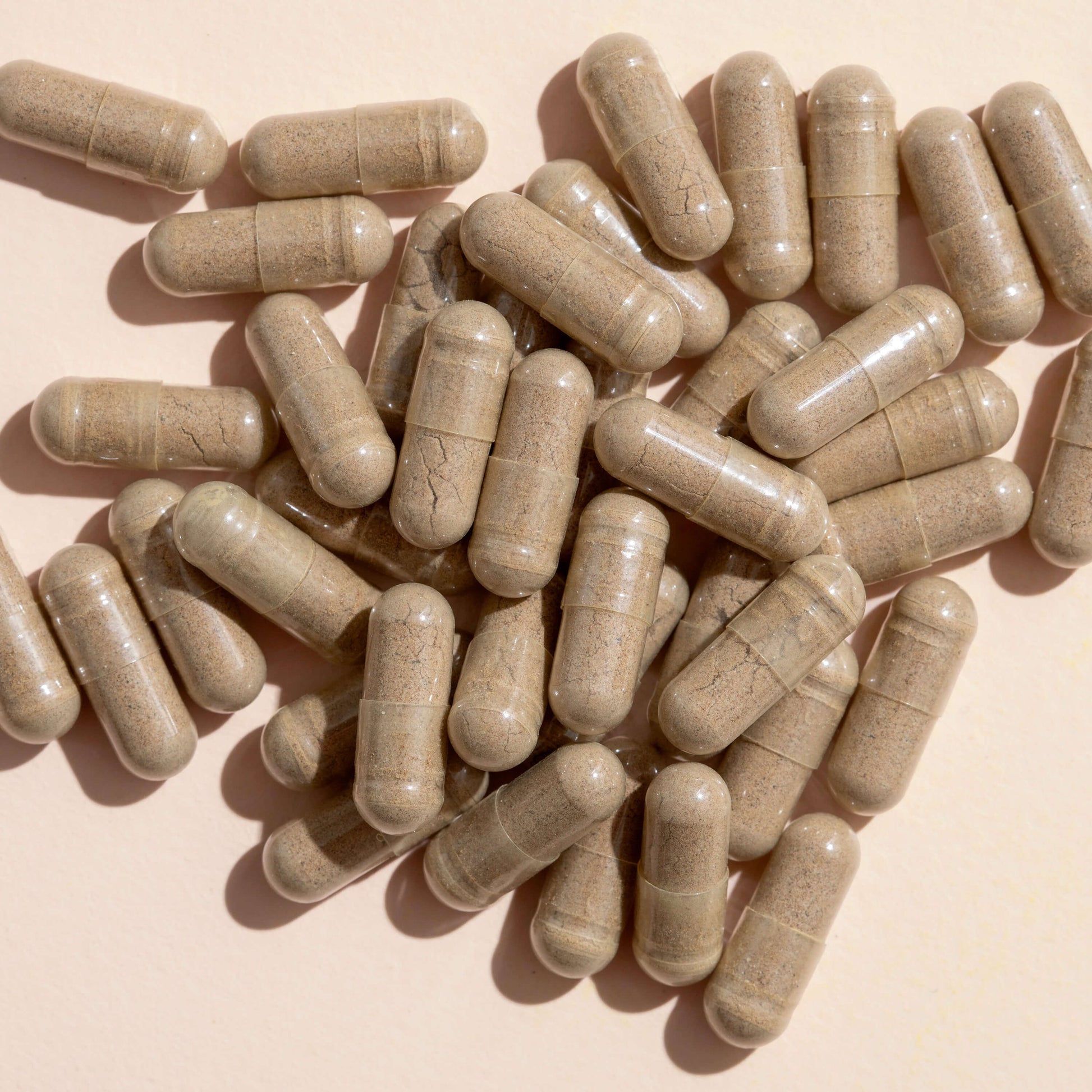 Ginkgo Biloba Herbal Supplement - 120 Capsules - Trending Wellness Store