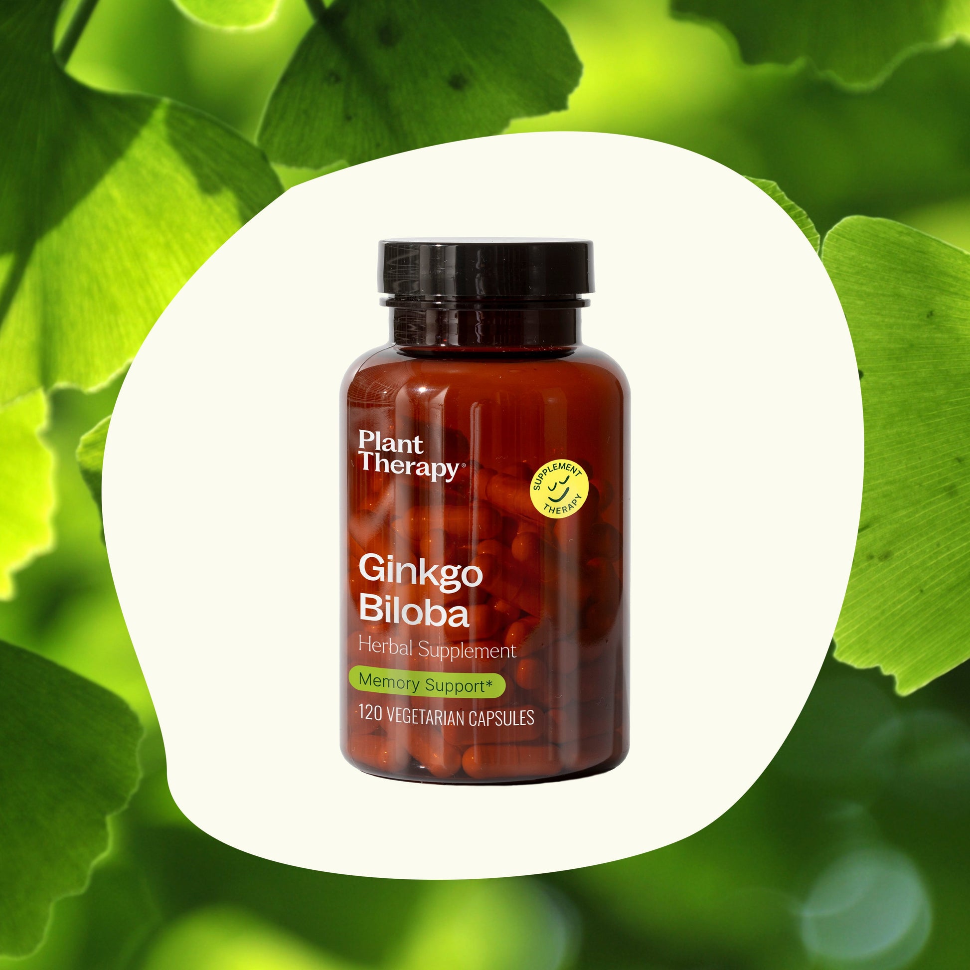 Ginkgo Biloba Herbal Supplement - 120 Capsules - Trending Wellness Store
