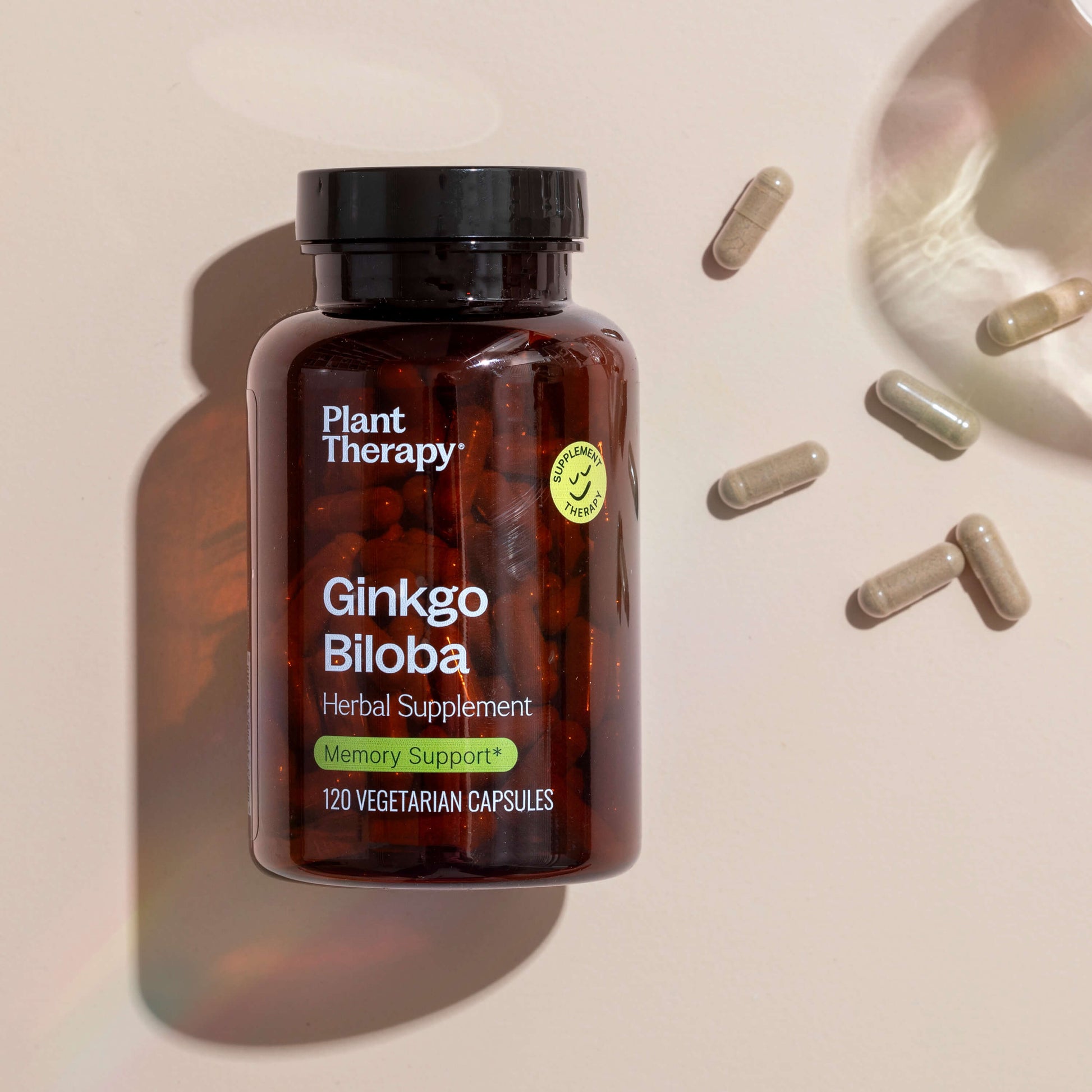 Ginkgo Biloba Herbal Supplement - 120 Capsules - Trending Wellness Store