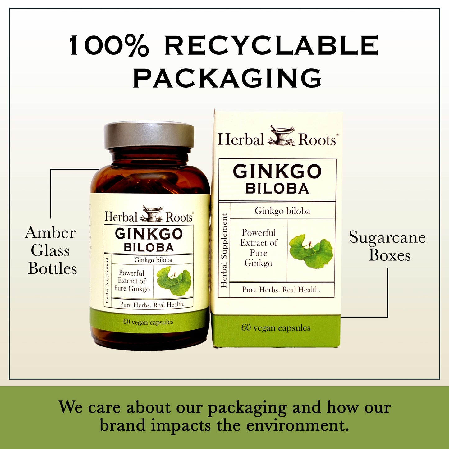 Organic Ginkgo Biloba - Trending Wellness Store