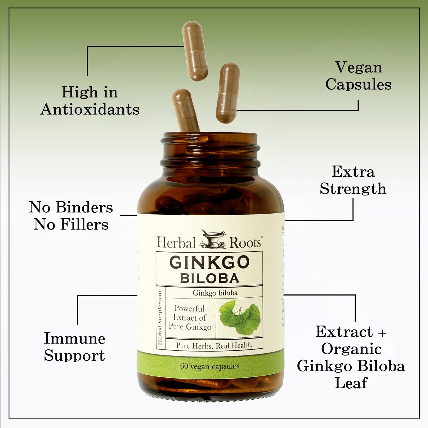 Organic Ginkgo Biloba - Trending Wellness Store
