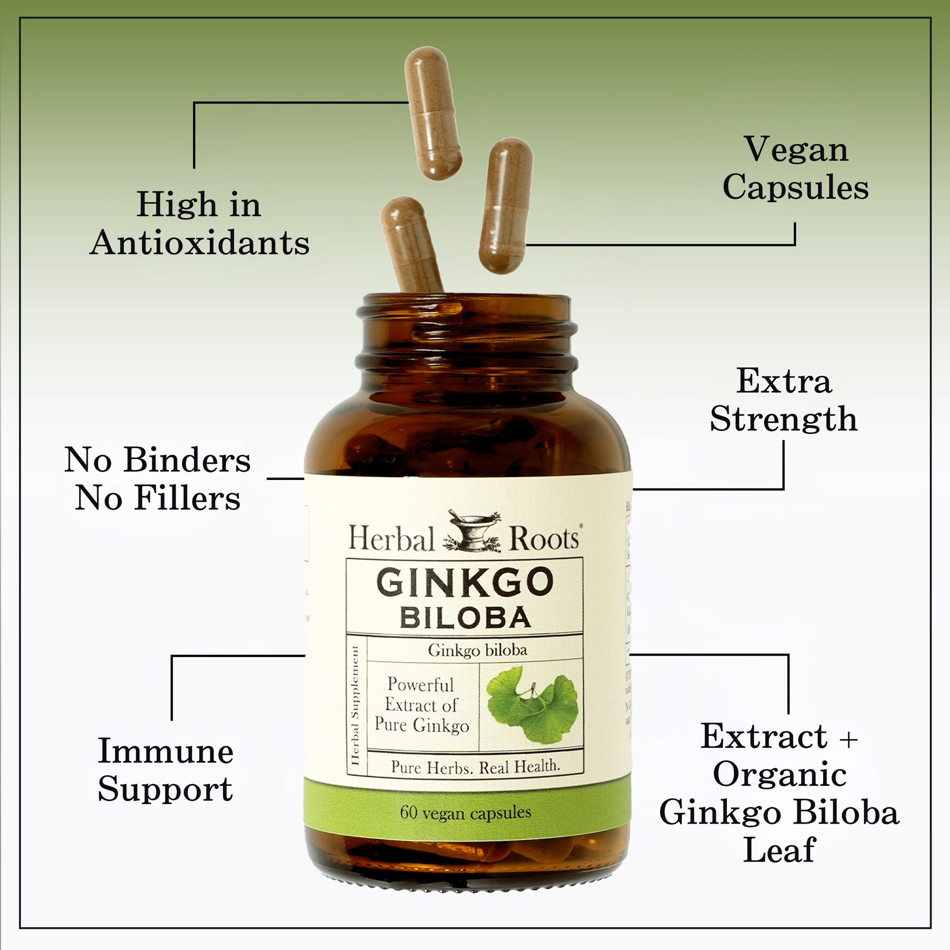 Organic Ginkgo Biloba - Trending Wellness Store