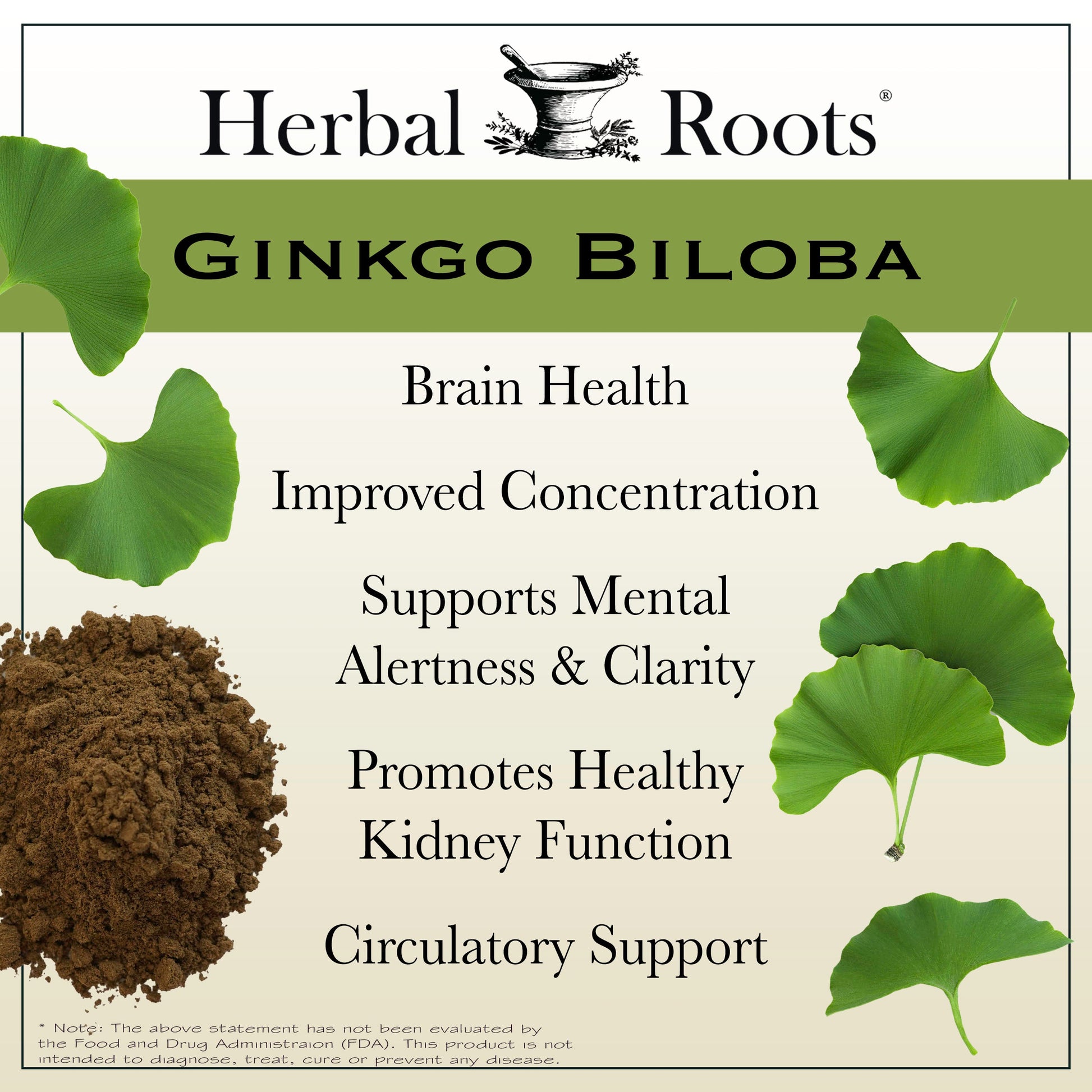 Organic Ginkgo Biloba - Trending Wellness Store