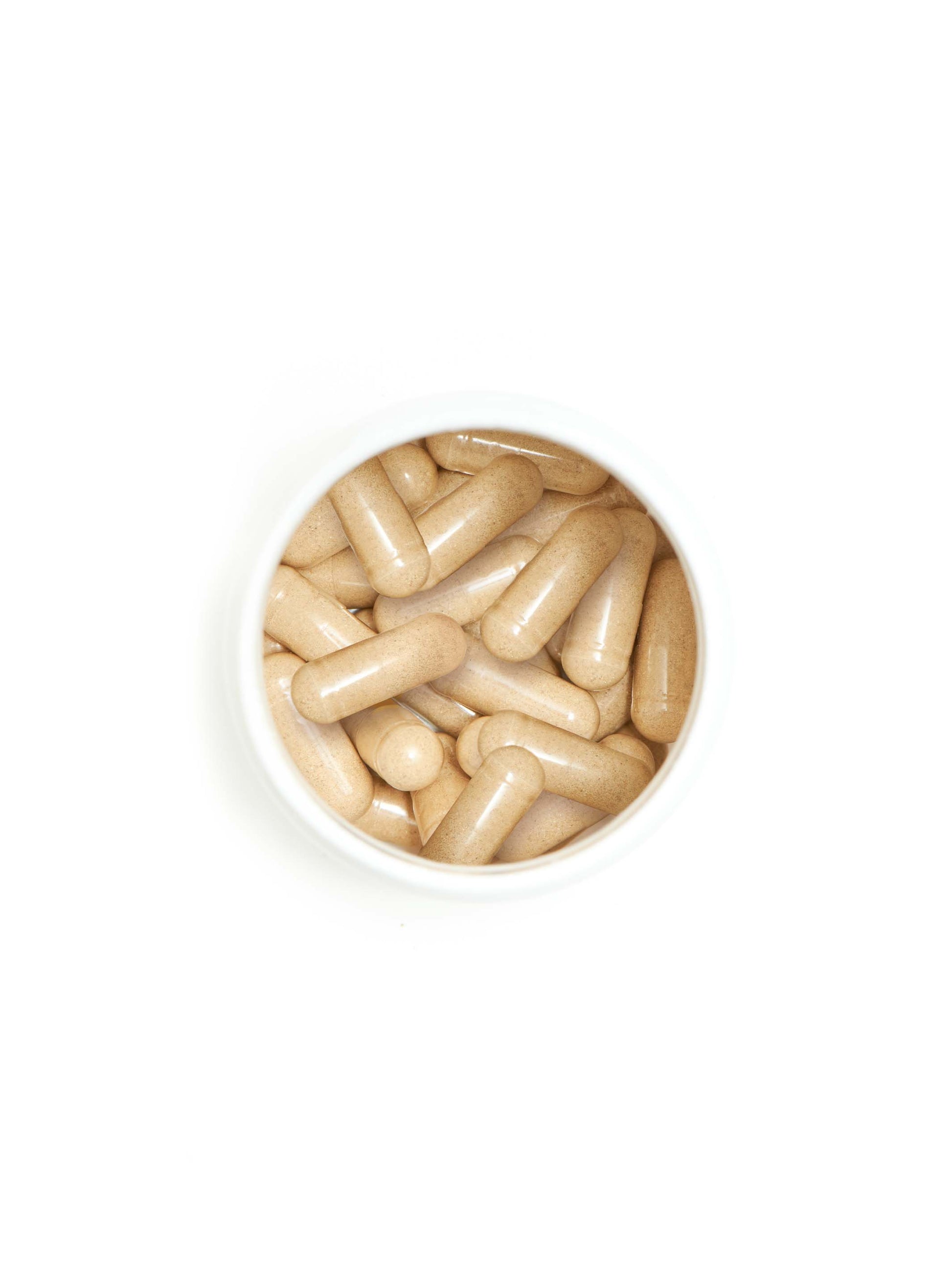 gut health probiotic+ - Trending Wellness Store