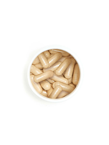gut health probiotic+ - Trending Wellness Store