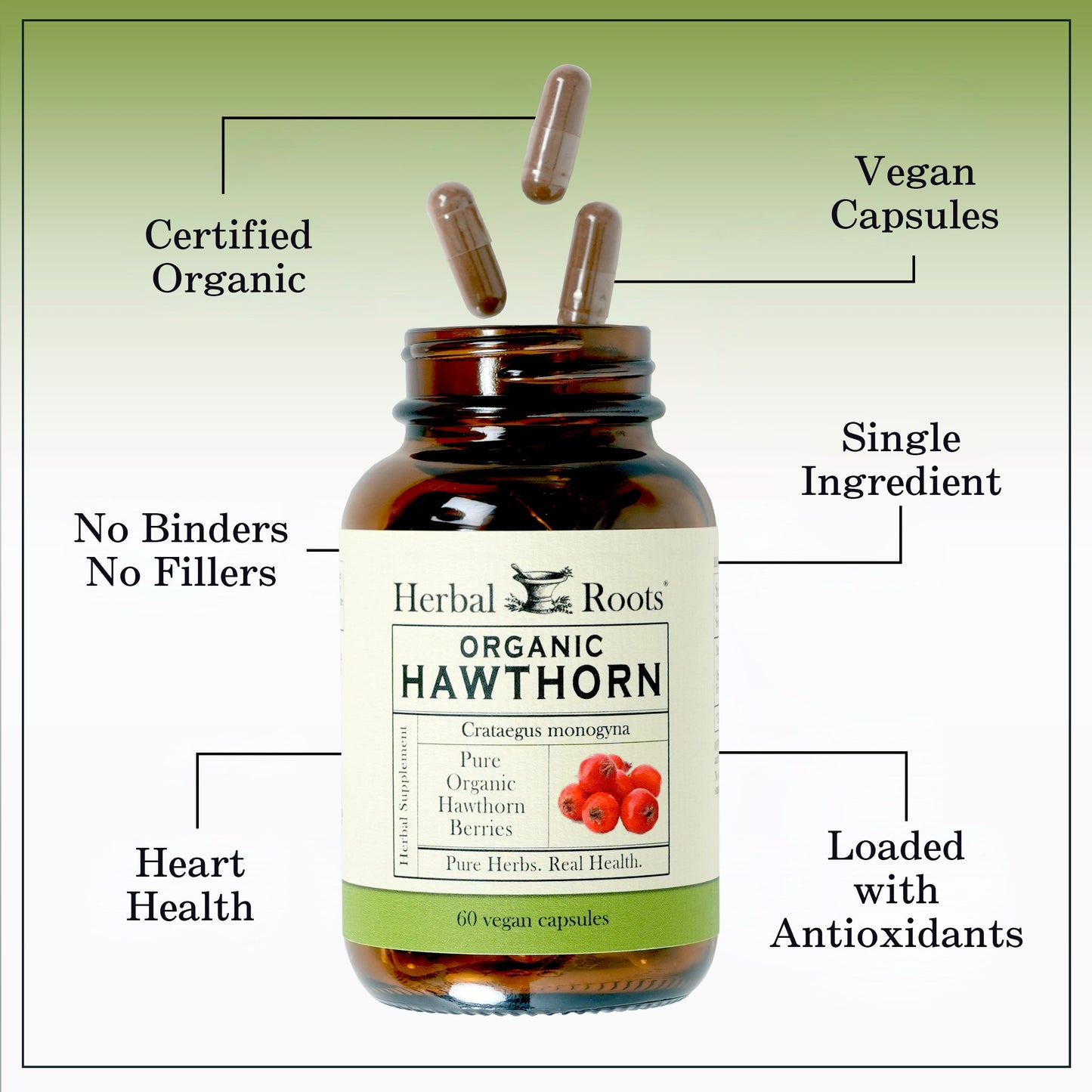 Organic Hawthorn Berry - Trending Wellness Store