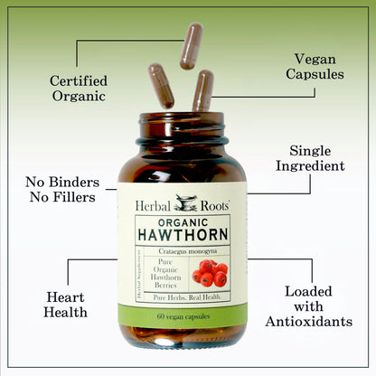 Organic Hawthorn Berry - Trending Wellness Store