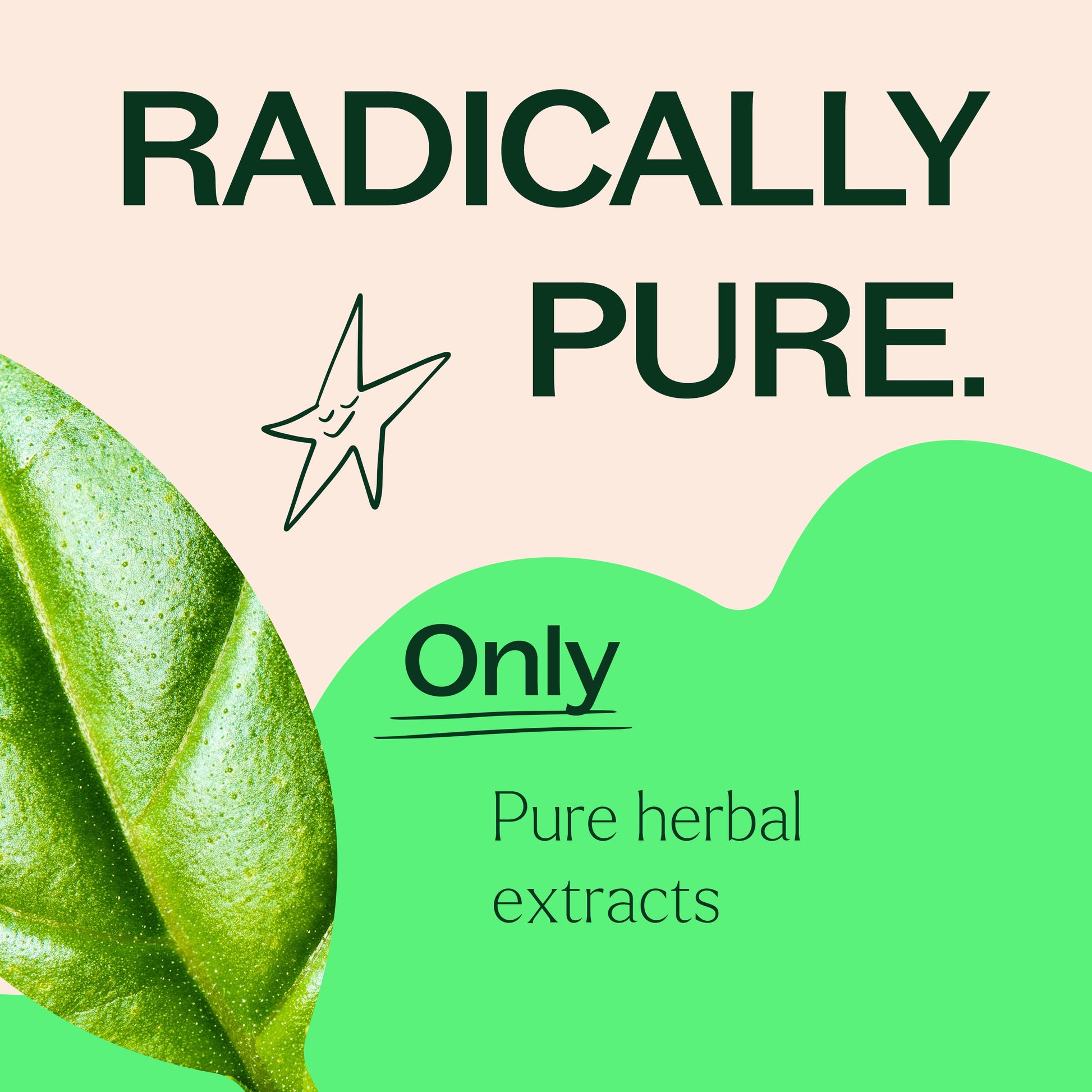 Holy Basil Herbal Supplement - 120 Capsules - Trending Wellness Store