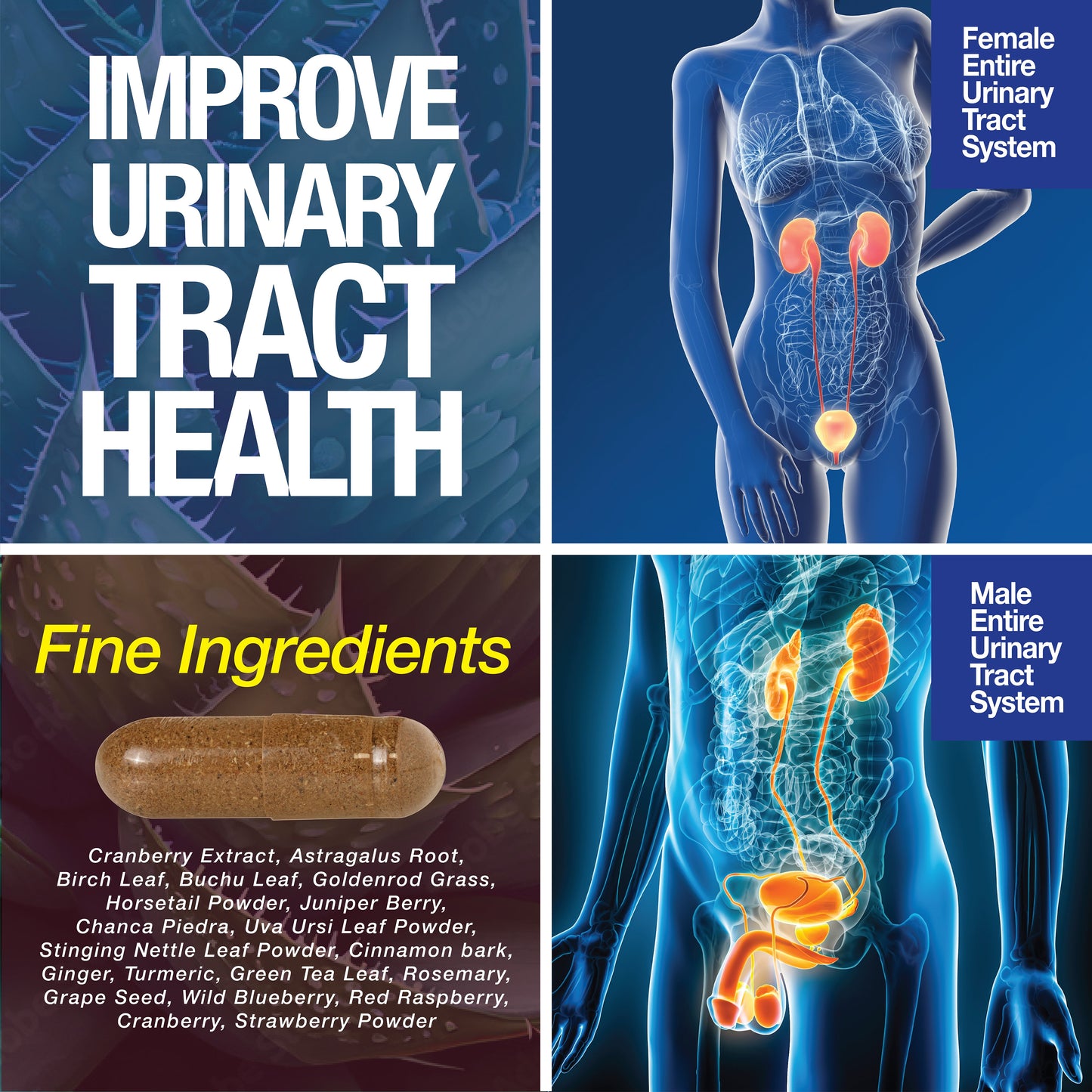 Kidney Support Cleanse Detox & Repair -120 Capsules - Cranberry & Astragalus Root Pills - Trending Wellness Store