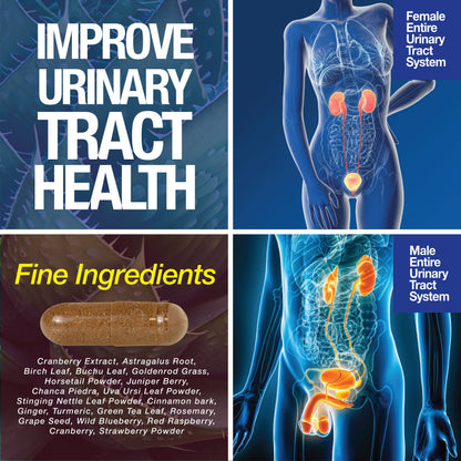 Kidney Support Cleanse Detox & Repair -120 Capsules - Cranberry & Astragalus Root Pills - Trending Wellness Store