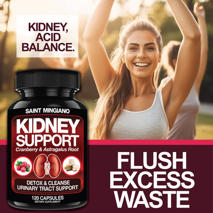 Kidney Support Cleanse Detox & Repair -120 Capsules - Cranberry & Astragalus Root Pills - Trending Wellness Store
