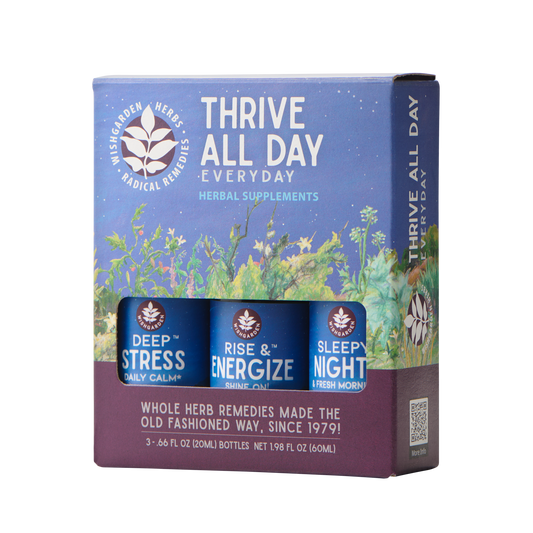 Thrive All Day 3-Pack - Trending Wellness Store
