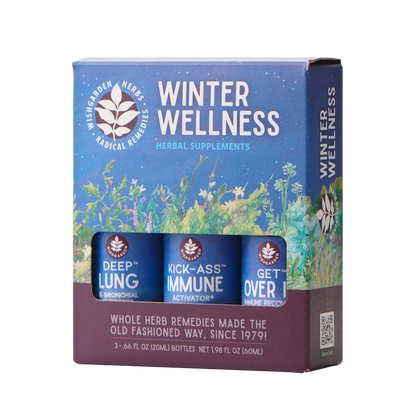 Winter Wellness 3-Pack - Trending Wellness Store