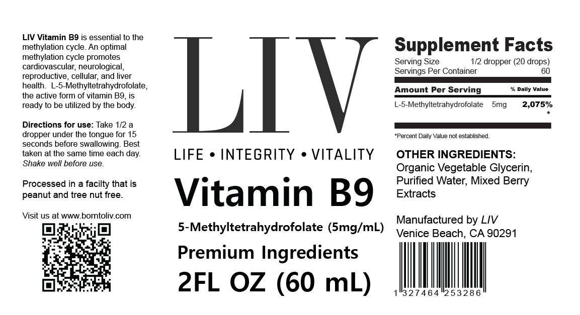 Vitamin B9 Folic Acid Liquid (5-MTHF 5,000mcg, 60 servings) - Trending Wellness Store