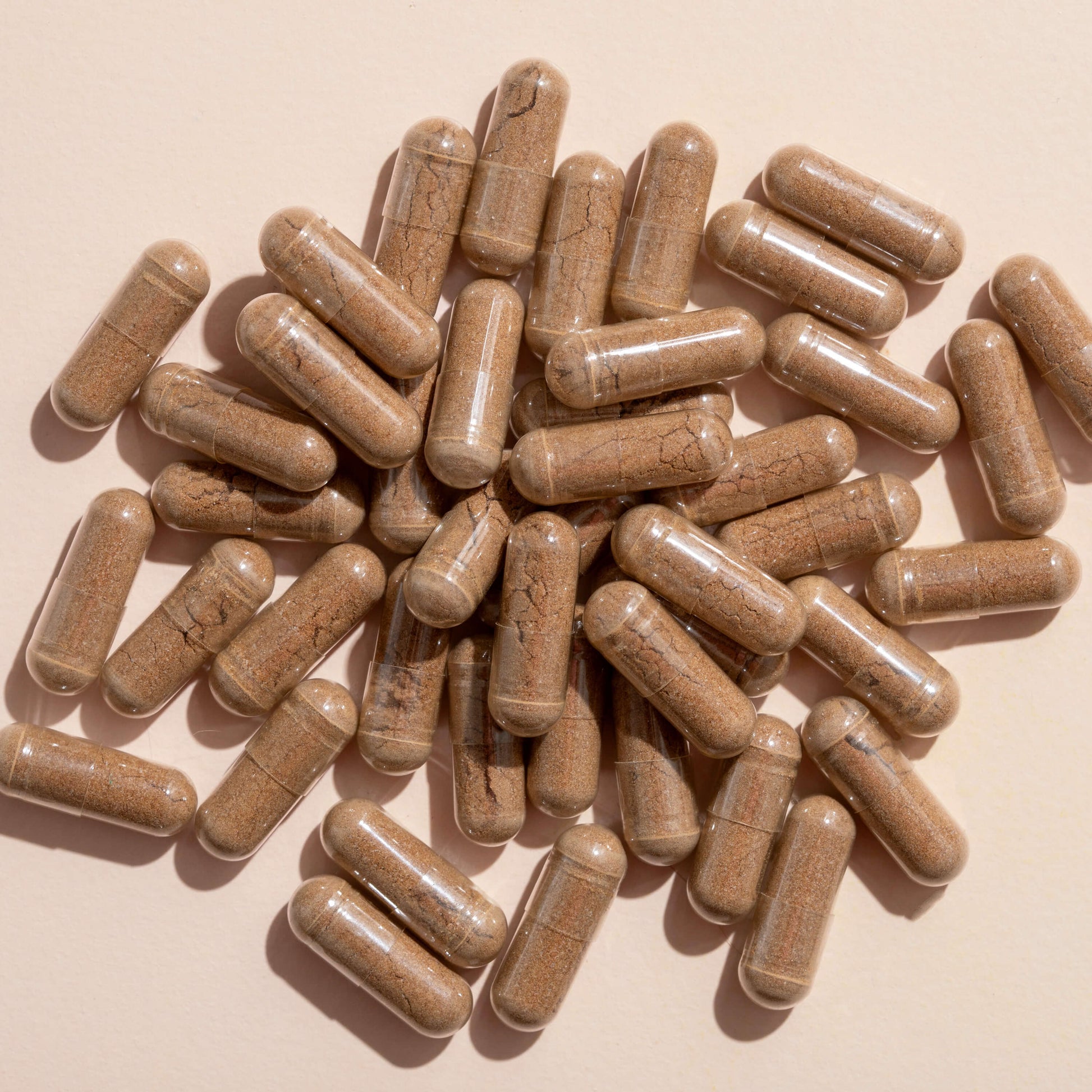 Lion's Mane Herbal Supplement - 120 Capsules - Trending Wellness Store